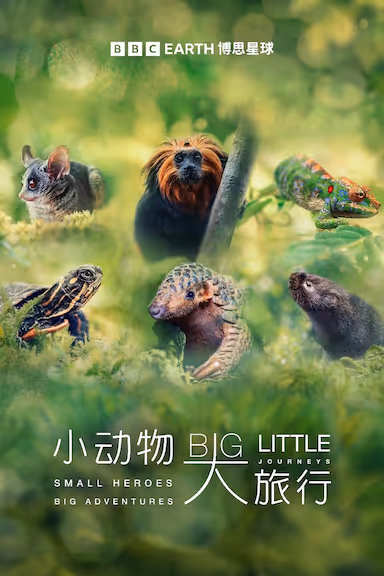 小动物 大旅行 第一季